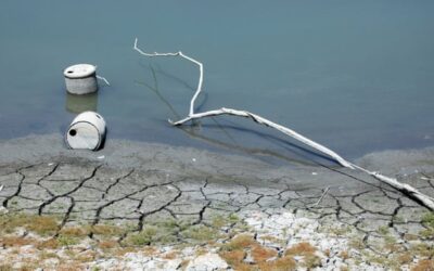 The next pandemic: drought is a hidden global crisis, UN says